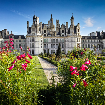 fleurs devant château